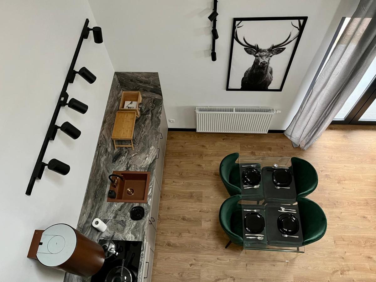 Apartamenty Maxa Czornyja Jelenia Góra Zewnętrze zdjęcie