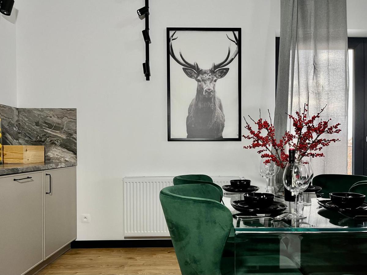 Apartamenty Maxa Czornyja Jelenia Góra Zewnętrze zdjęcie
