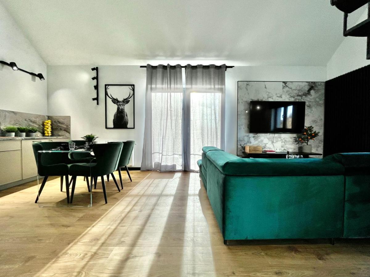 Apartamenty Maxa Czornyja Jelenia Góra Zewnętrze zdjęcie